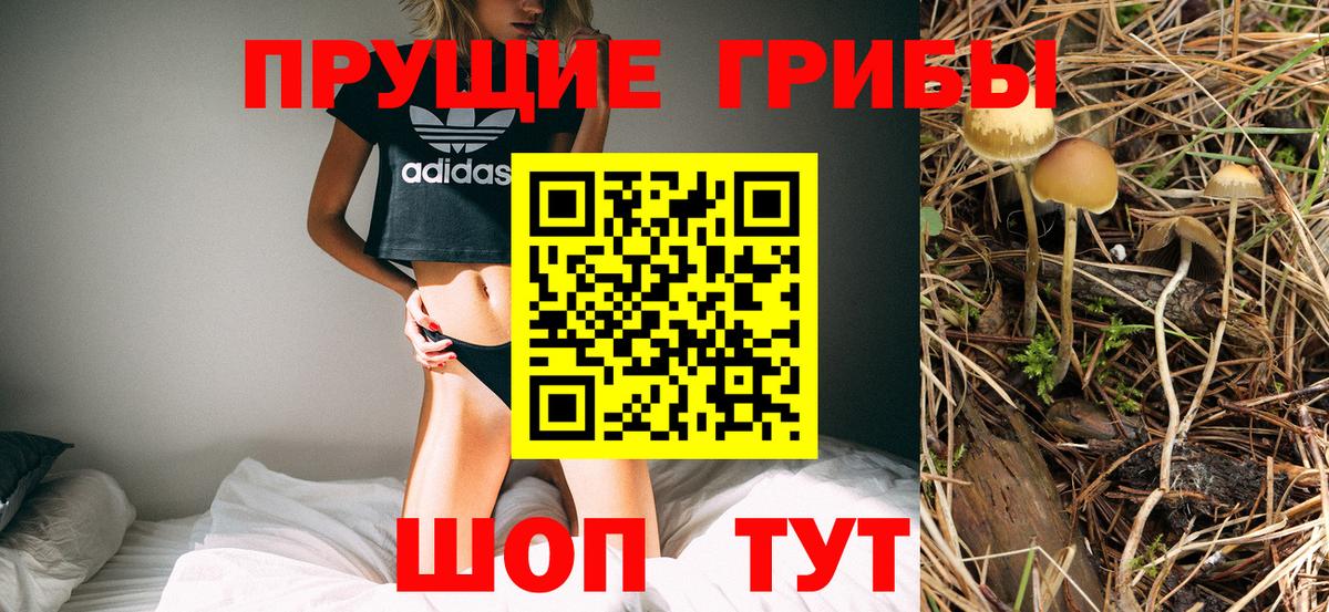 Галлюциногенные грибы GOLDEN TEACHER Вышний Волочёк