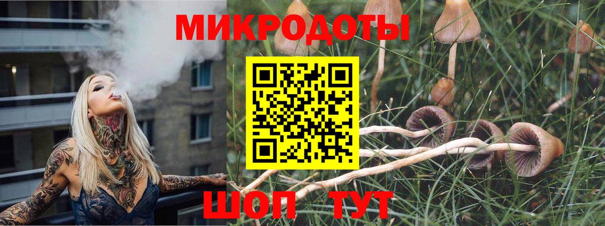 Вышний Волочёк  цена   Вход с VPN  Псилоцибиновые грибы прущие грибы  Галлюциногенные грибы Psilocybine cubensis 